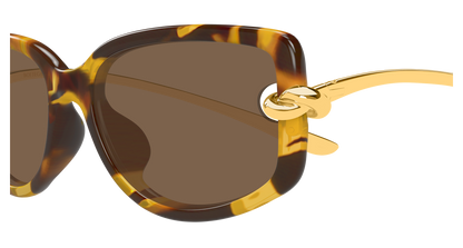 Bottega Veneta BV1440SA Havana 889652635545