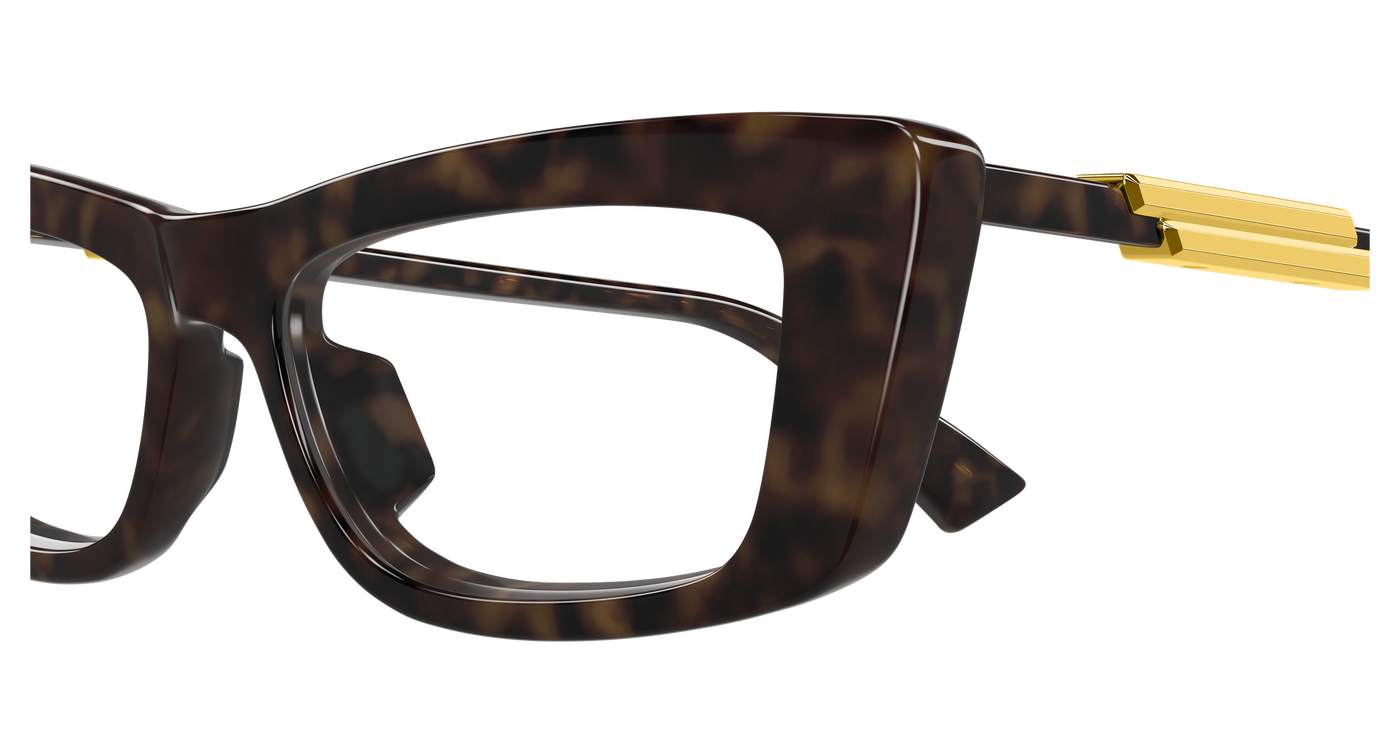 Bottega Veneta BV1449O Havana 889652635934