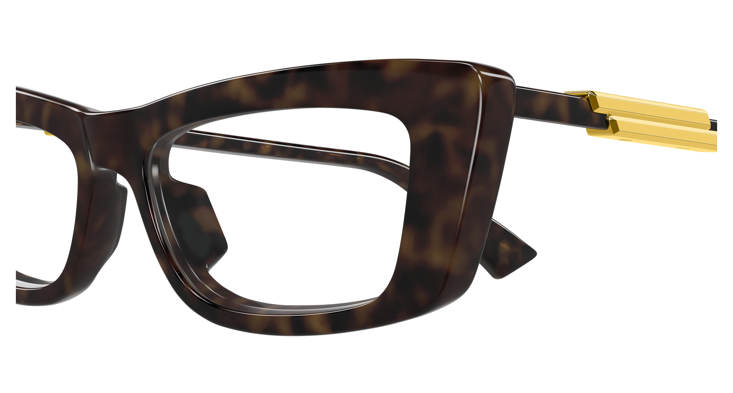 Bottega Veneta BV1449O Havana 889652635934