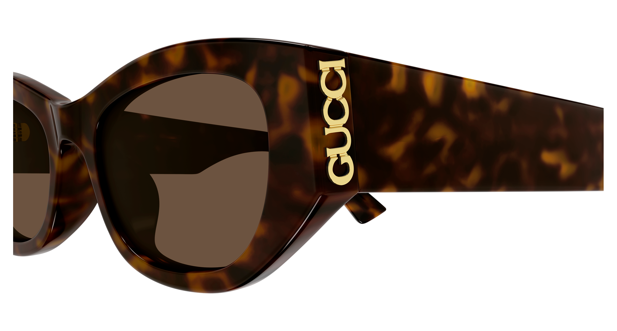 Gucci GG2044SA Havana 889652631738