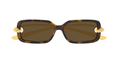 Bottega Veneta BV1439S Havana 889652635484