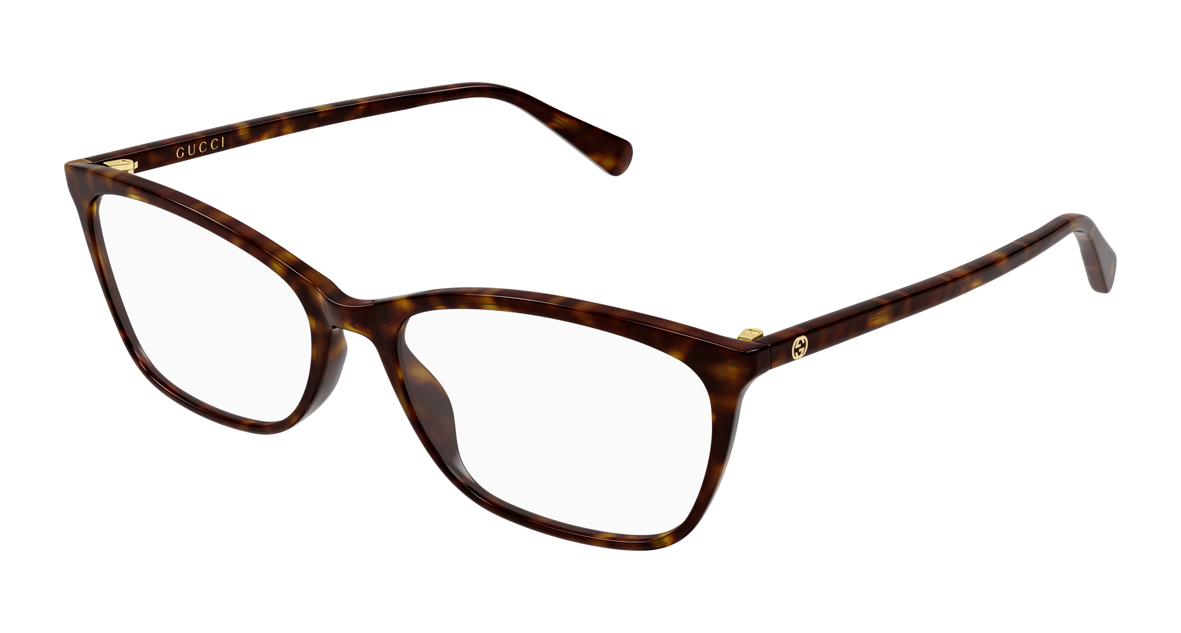 Gucci GG1930O Havana 889652644820