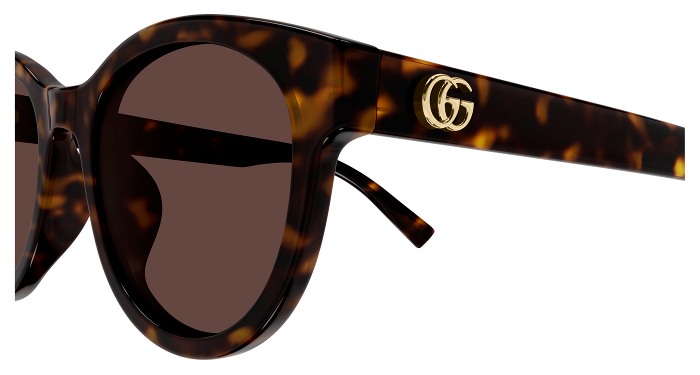 Gucci GG2127SK Havana 889652631592