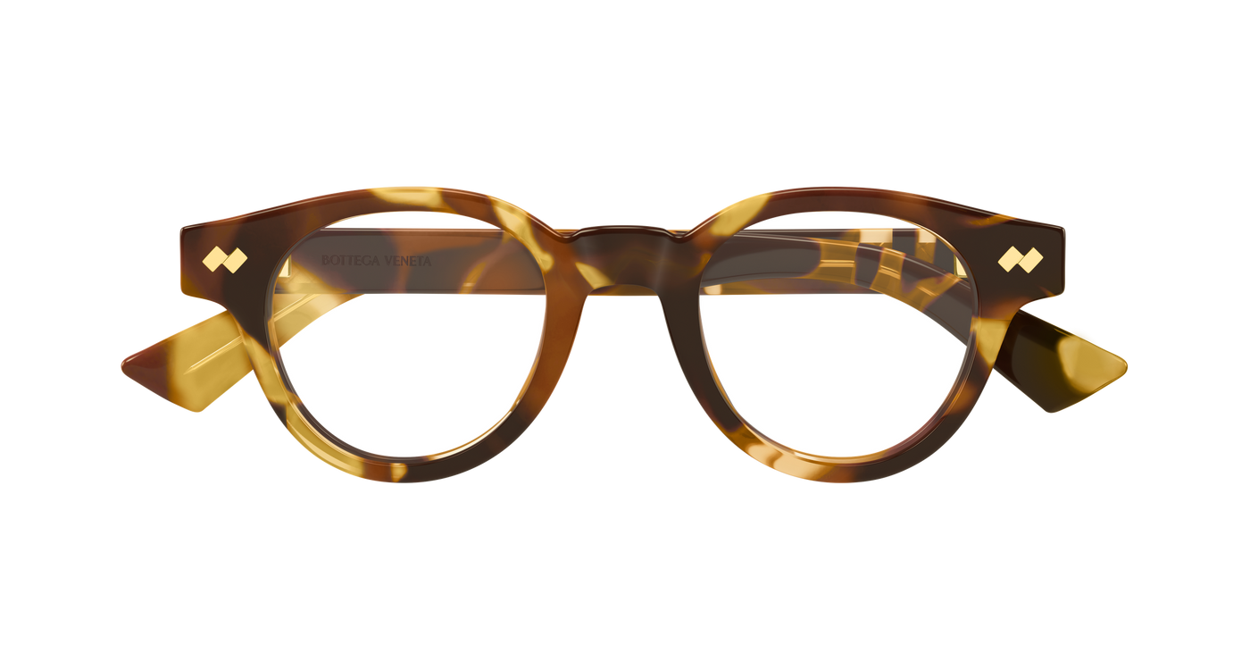 Bottega Veneta BV1443O Havana 889652635682