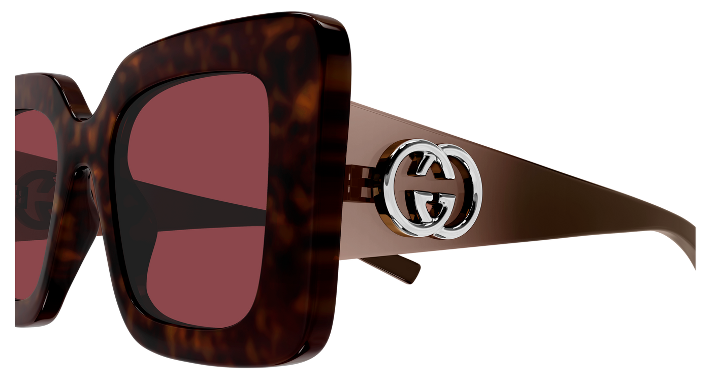 Gucci GG2025S Havana 889652632438