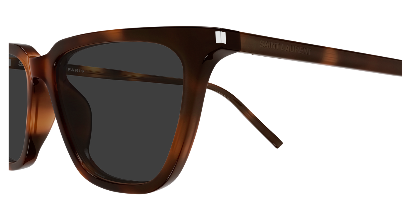 Saint Laurent SL 889 SULPICE THIN Havana 446 889652651446