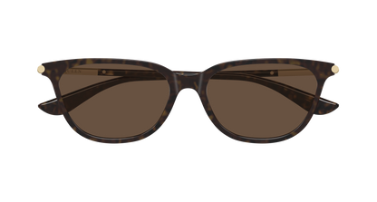 Alexander McQueen AM0553S Havana 889652641249
