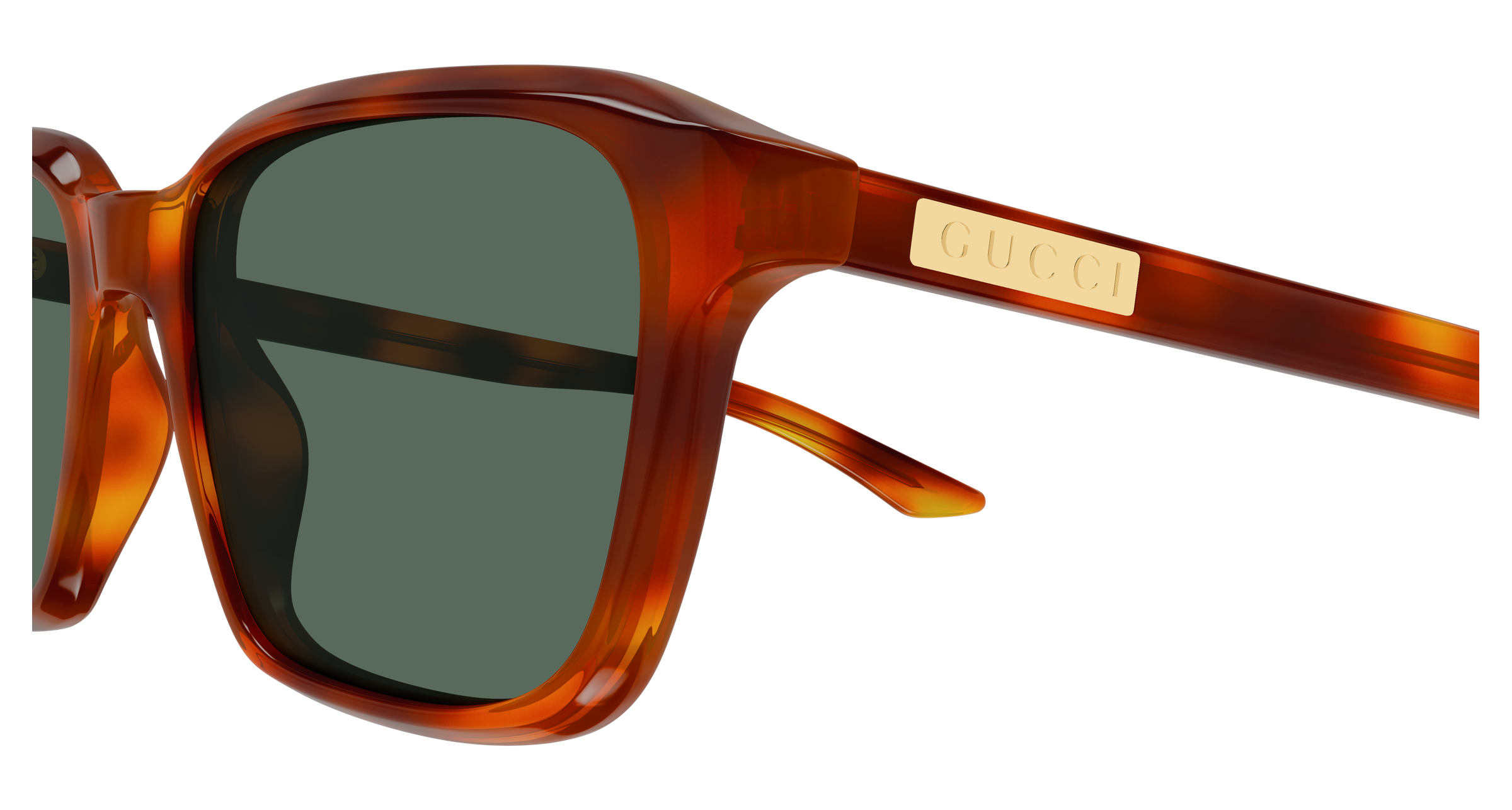 Gucci GG2078S Havana 005 889652625300