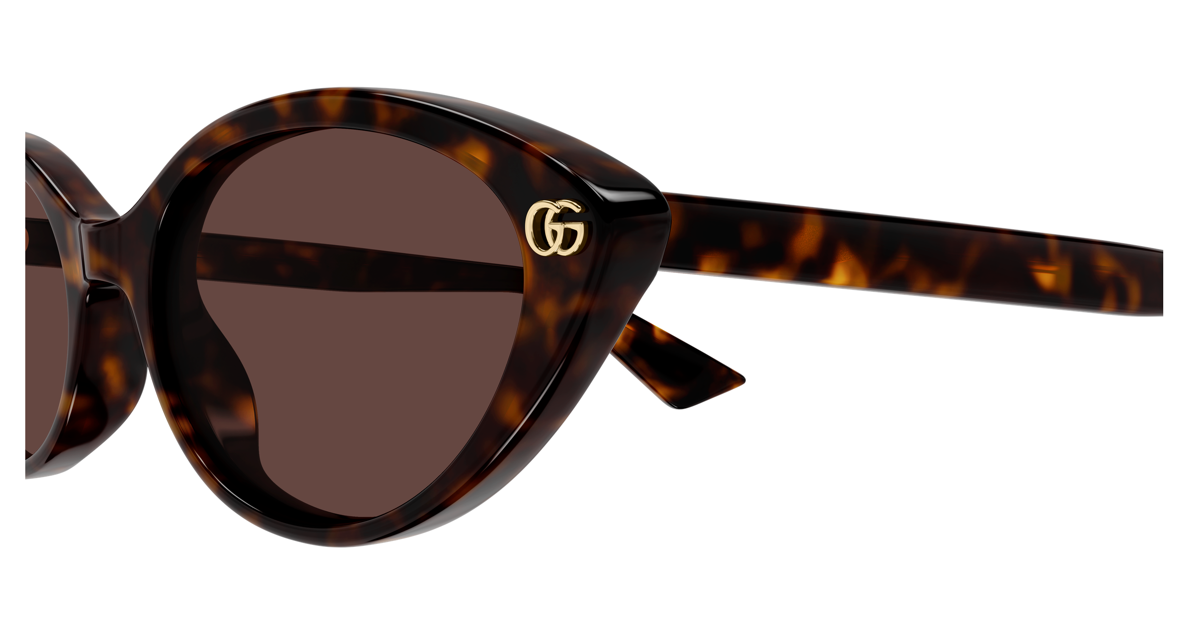 Gucci GG2110S Havana 889652626871
