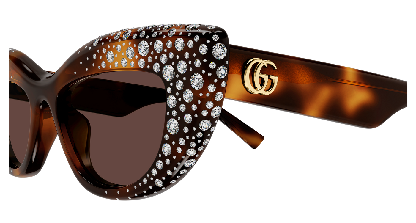 Gucci GG2031S Havana 006 889652634968