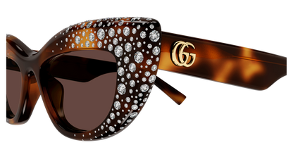 Gucci GG2031S Havana 006 889652634968