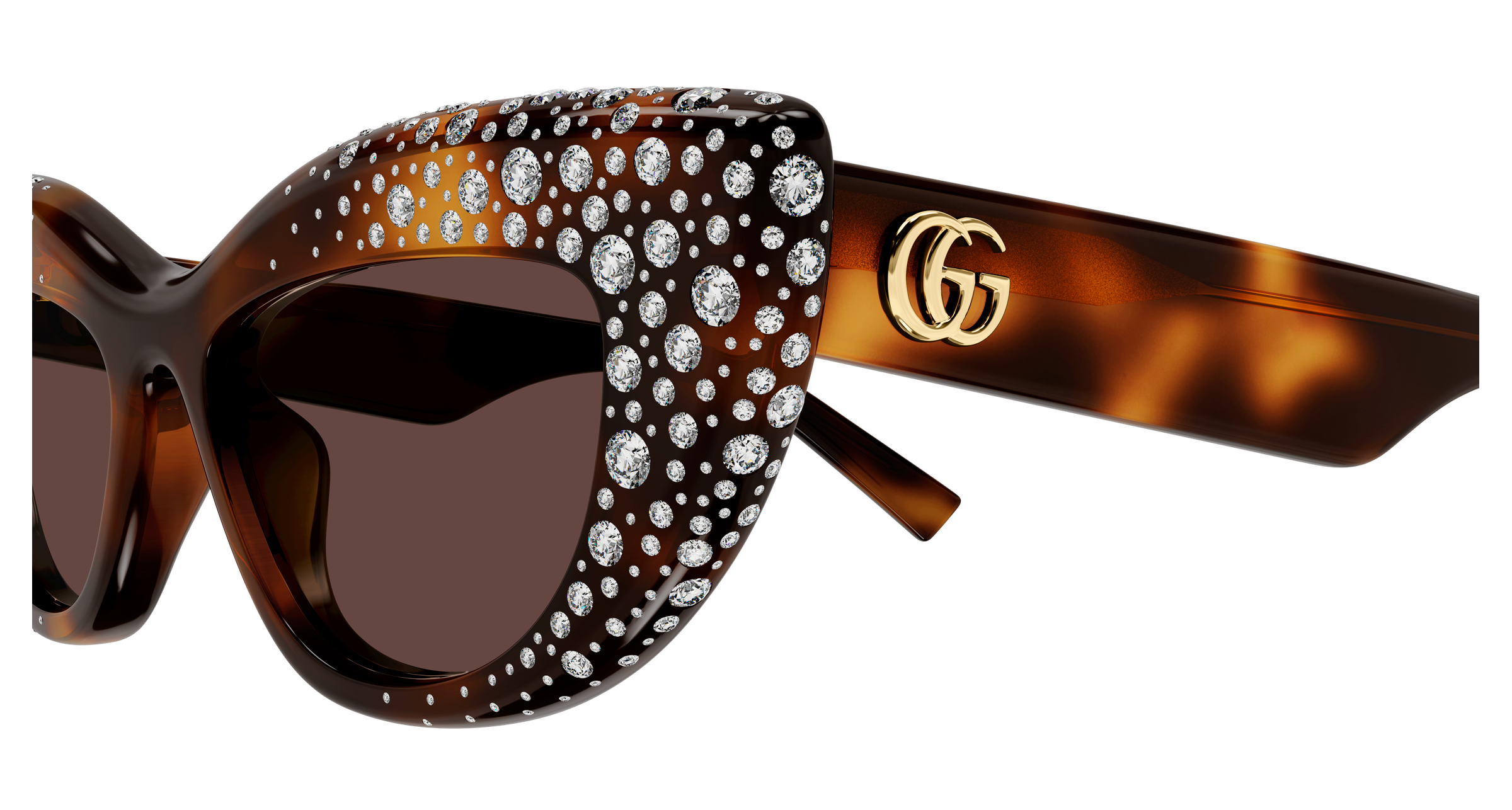 Gucci GG2031S Havana 006 889652634968