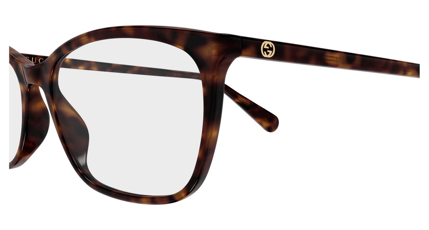 Gucci GG1930O Havana 889652644820