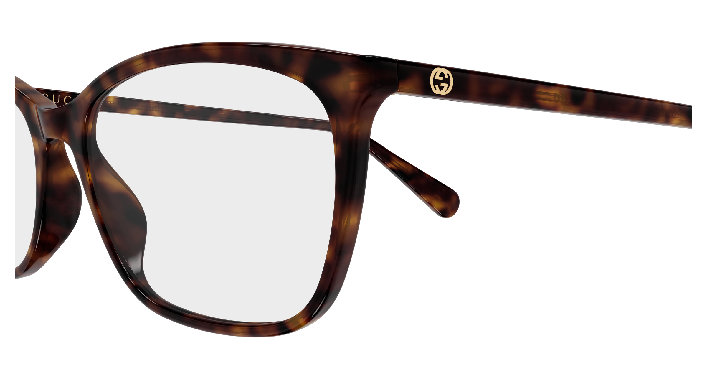 Gucci GG1930O Havana 889652644820