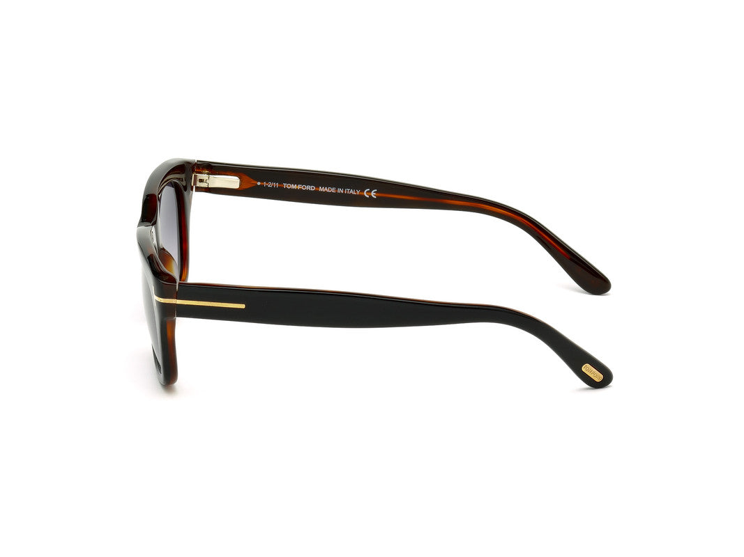 Black/Havana
 Male Sunglasses Tom Ford 664689520060