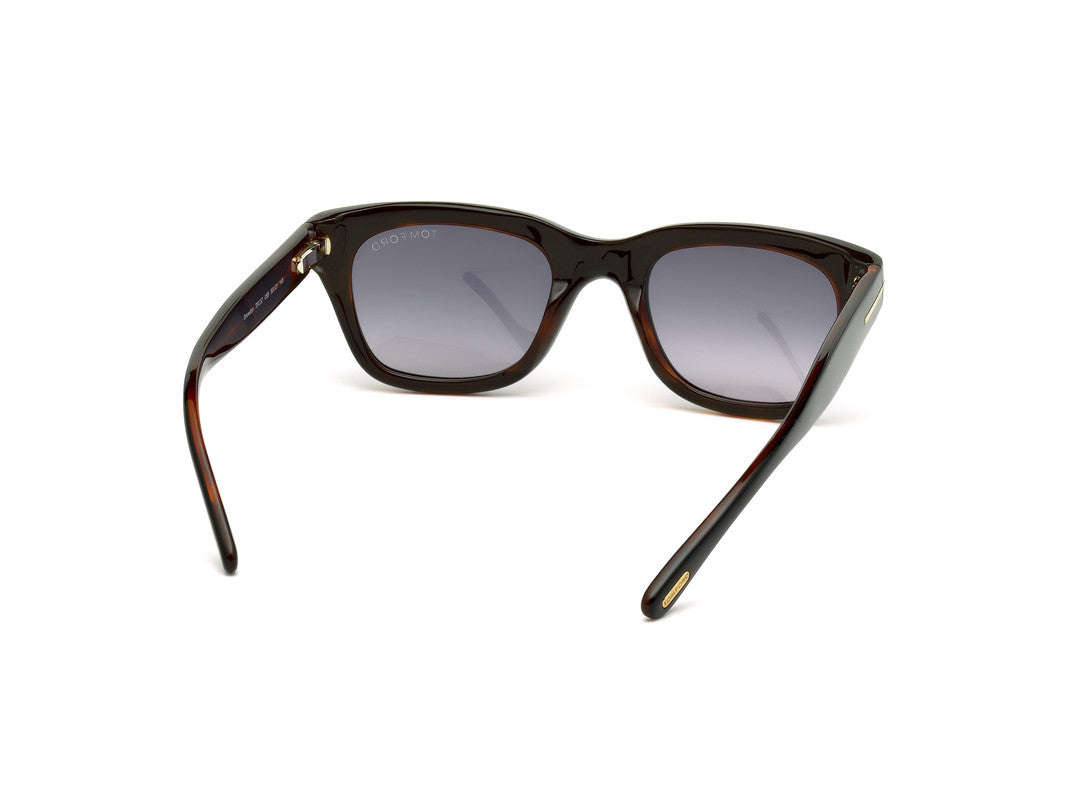 Black/Havana
 Male Sunglasses Tom Ford 664689520060