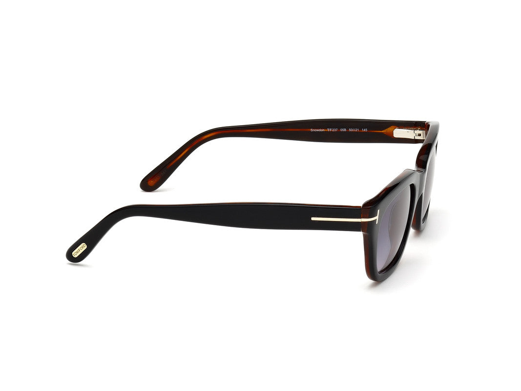 Black/Havana
 Male Sunglasses Tom Ford 664689520060