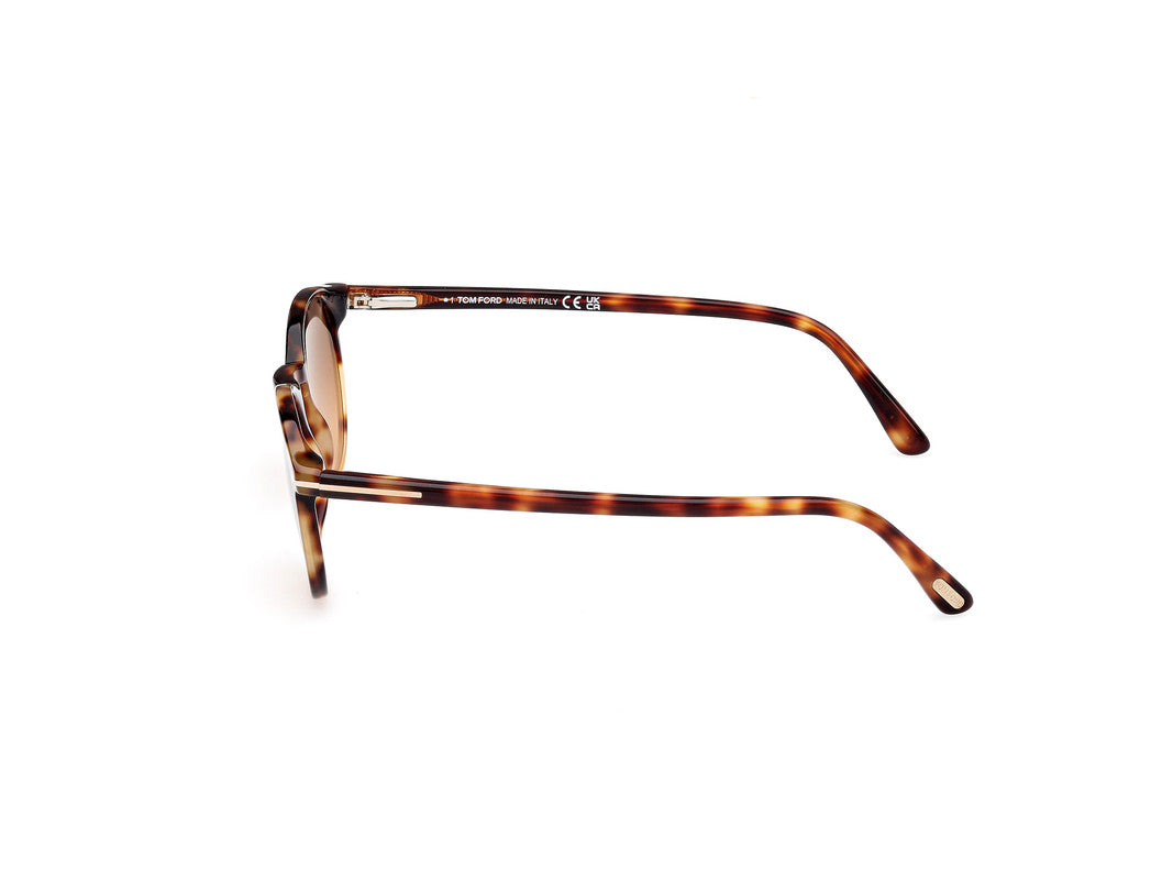 Blonde Havana Male Sunglasses Tom Ford 889214531735