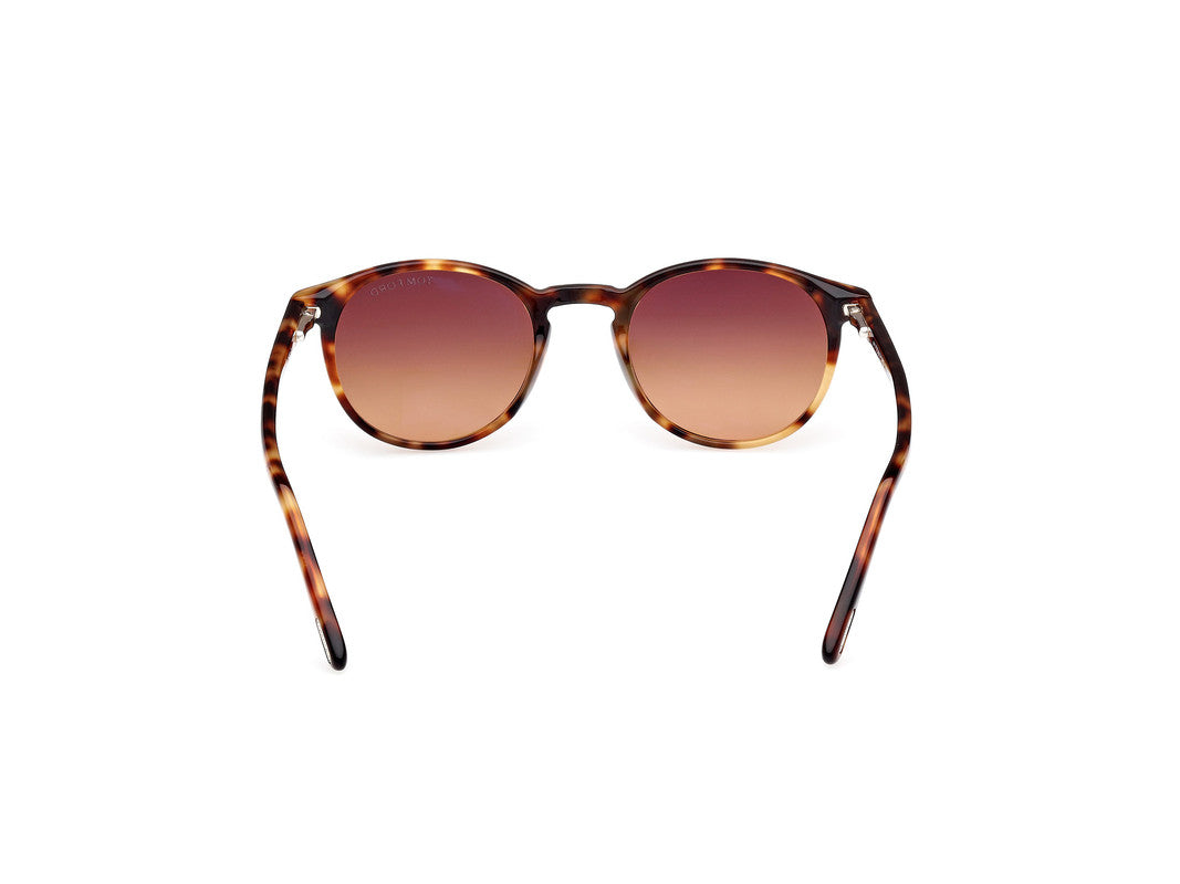 Blonde Havana Male Sunglasses Tom Ford 889214531735