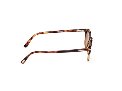 Blonde Havana Male Sunglasses Tom Ford 889214531735
