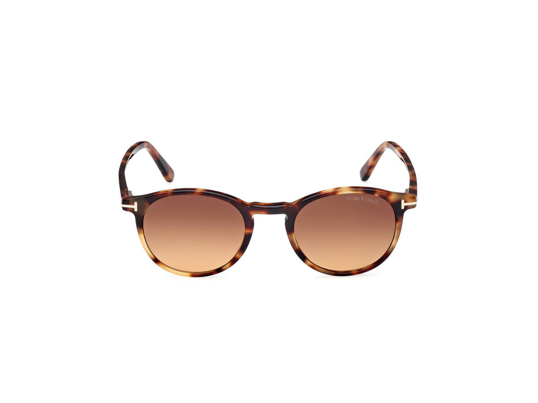 Blonde Havana Male Sunglasses Tom Ford 889214531735