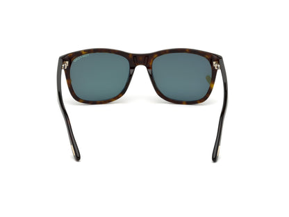 Dark Havana Male Sunglasses Tom Ford 664689901517