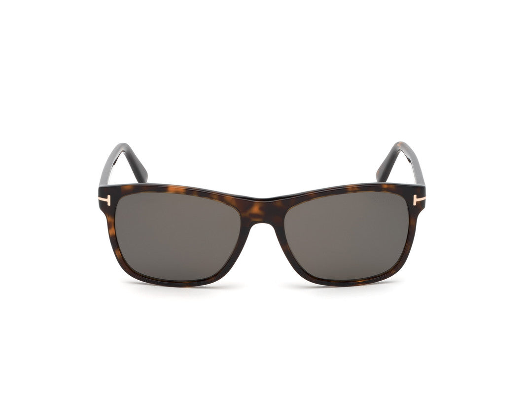 Dark Havana Male Sunglasses Tom Ford 889214028501