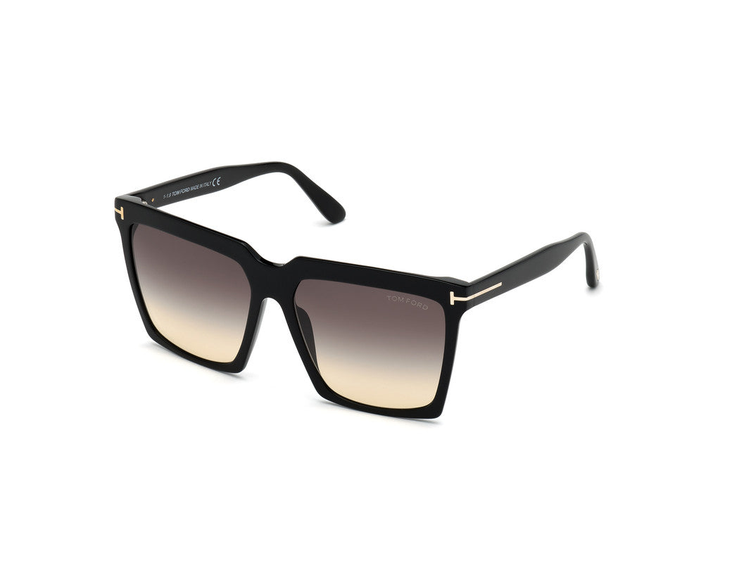 Shiny Black Female Sunglasses Tom Ford 889214096425