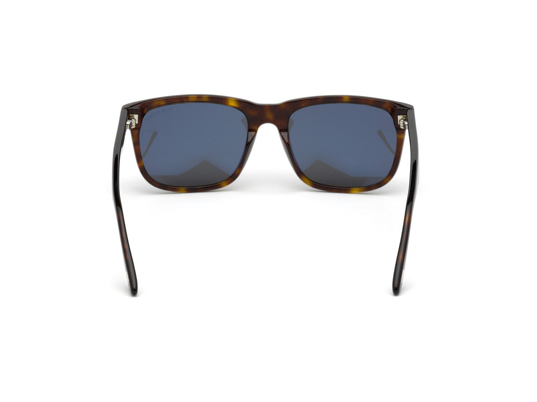 Dark Havana Male Sunglasses Tom Ford 889214120779