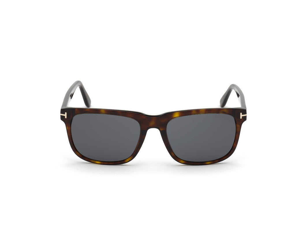 Dark Havana Male Sunglasses Tom Ford 889214120779
