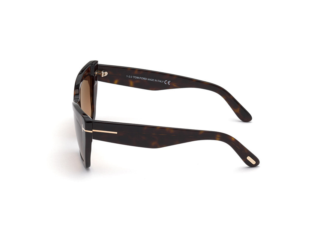 Dark Havana Female Sunglasses Tom Ford 889214244468