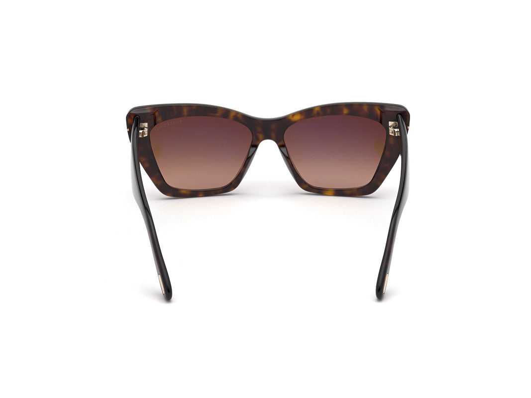 Dark Havana Female Sunglasses Tom Ford 889214244468