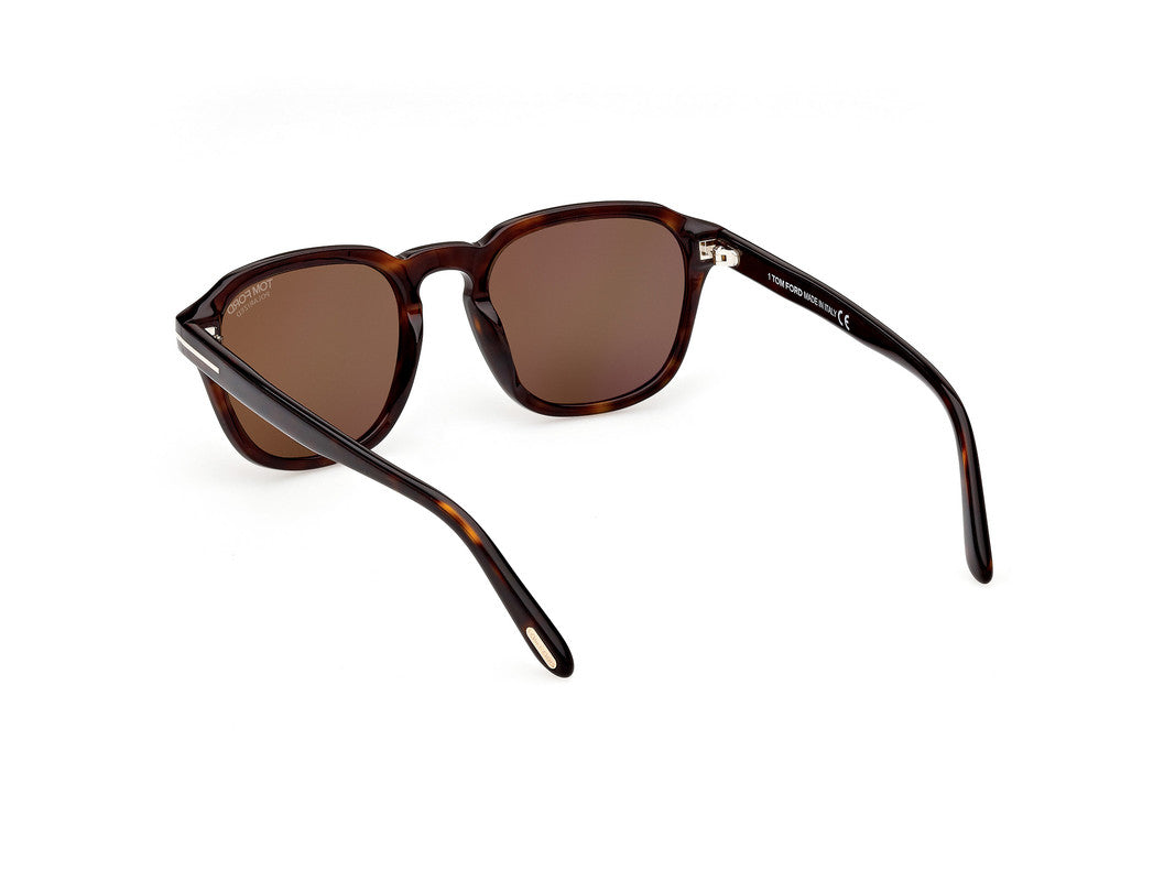 Dark Havana Male Sunglasses Tom Ford 889214318114