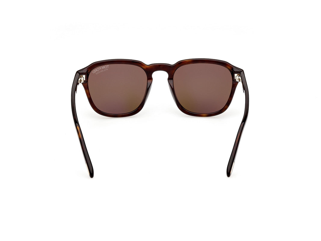 Dark Havana Male Sunglasses Tom Ford 889214318114