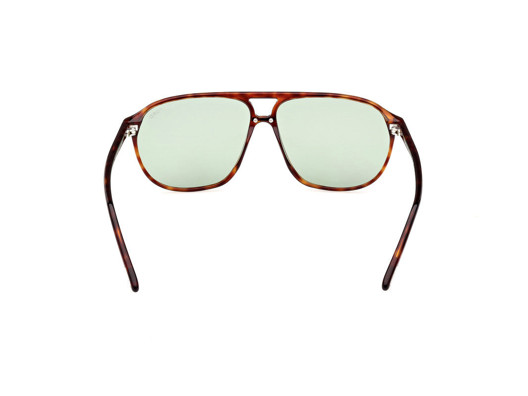 Red Havana Male Sunglasses Tom Ford 889214403414