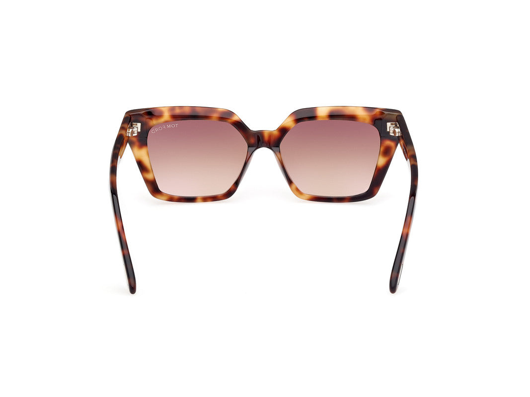 Blonde Havana Female Sunglasses Tom Ford 889214544285