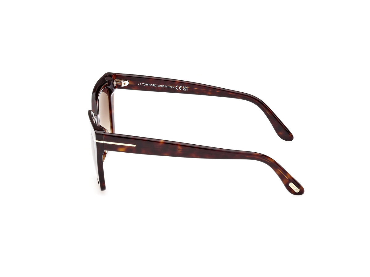 Dark Havana Gradient Brown Female Sunglasses Tom Ford 889214403971