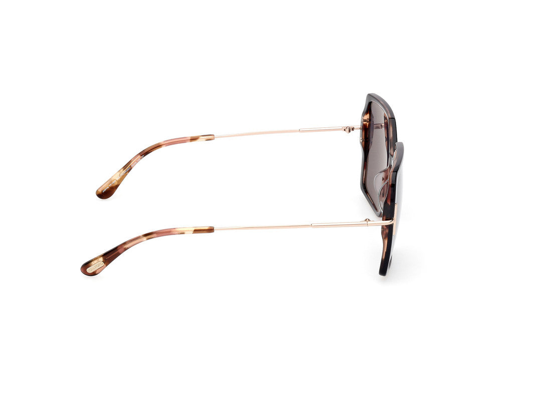 Black/Havana Female Sunglasses Tom Ford 889214542106