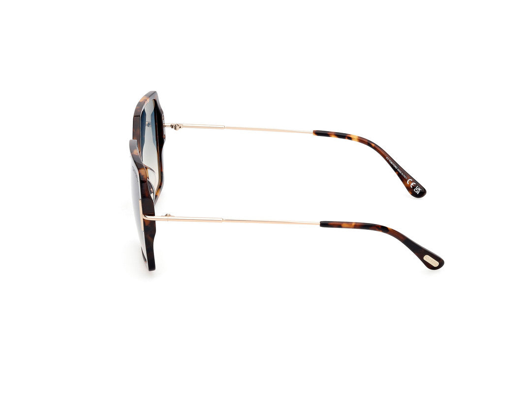Dark Havana Female Sunglasses Tom Ford 889214542113