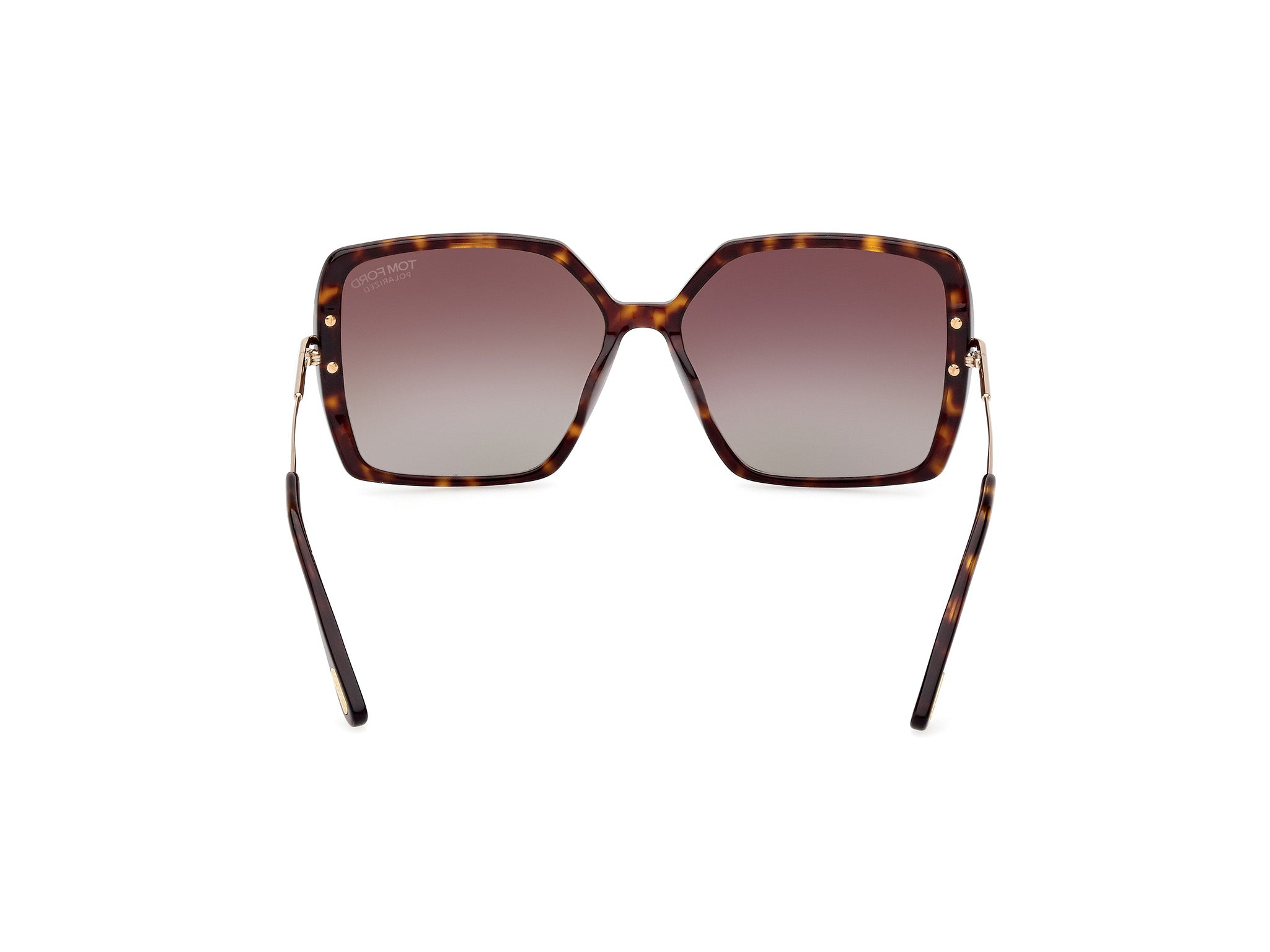 Dark Havana Female Sunglasses Tom Ford 889214442406