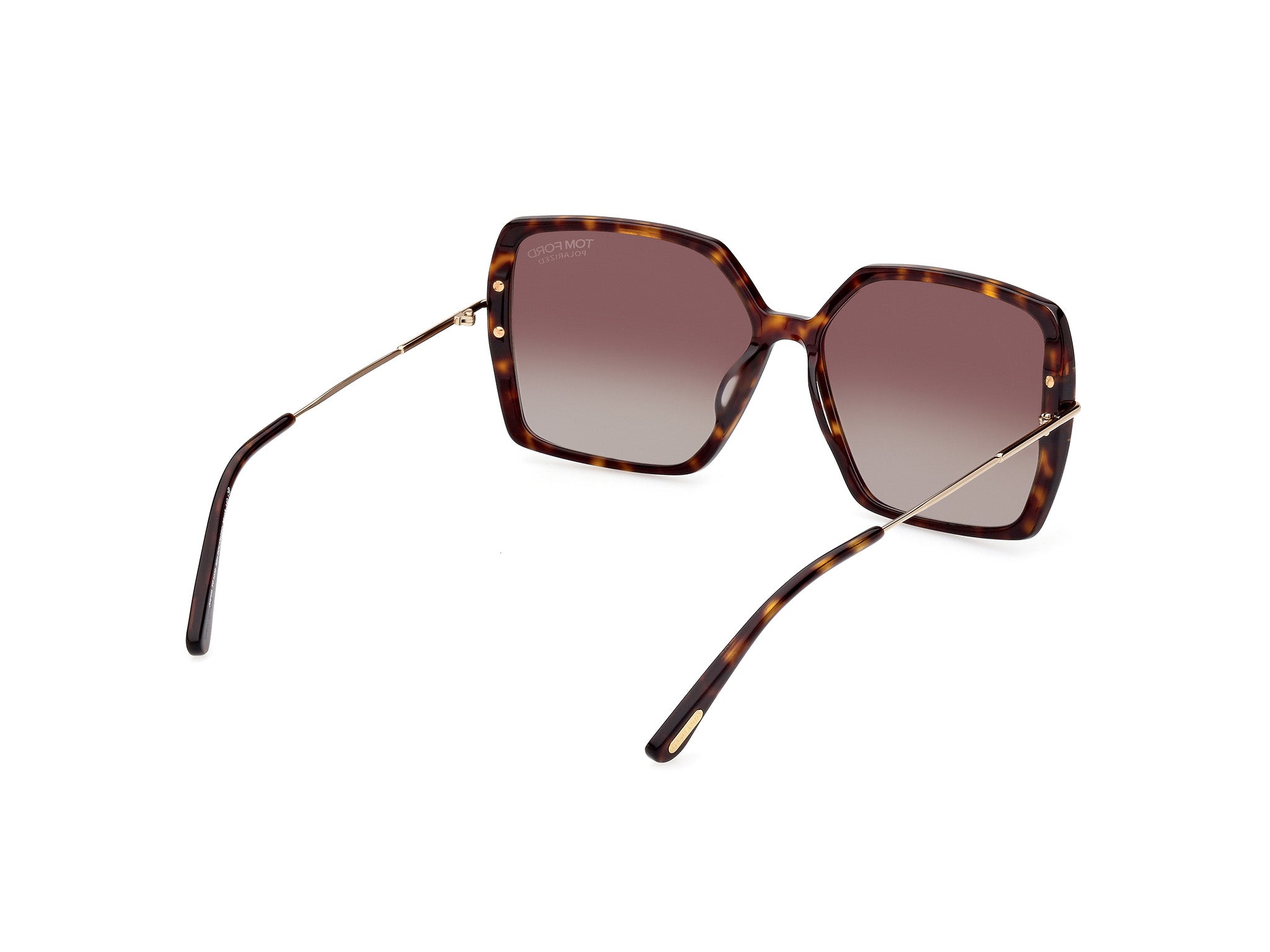 Dark Havana Female Sunglasses Tom Ford 889214442406