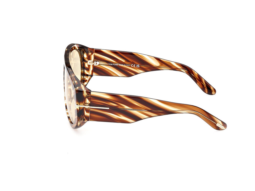 Havana/Striped Male Sunglasses Tom Ford 889214402554