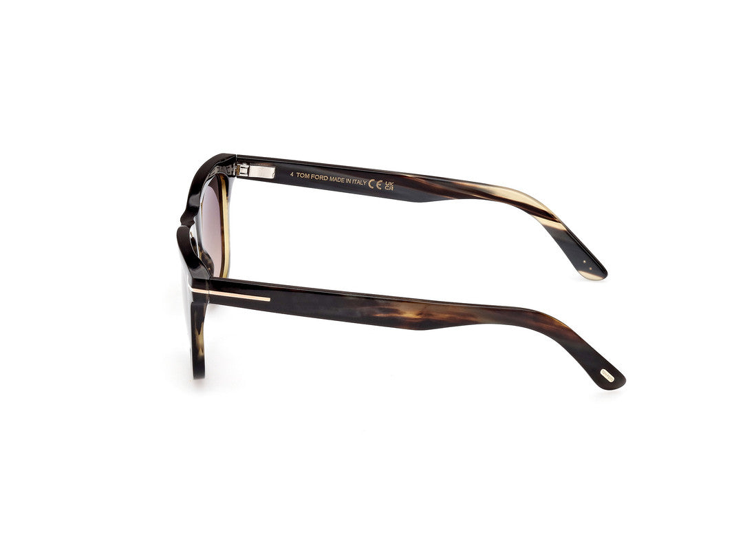 Coloured Horn Male Sunglasses Tom Ford Private Collection 889214417312