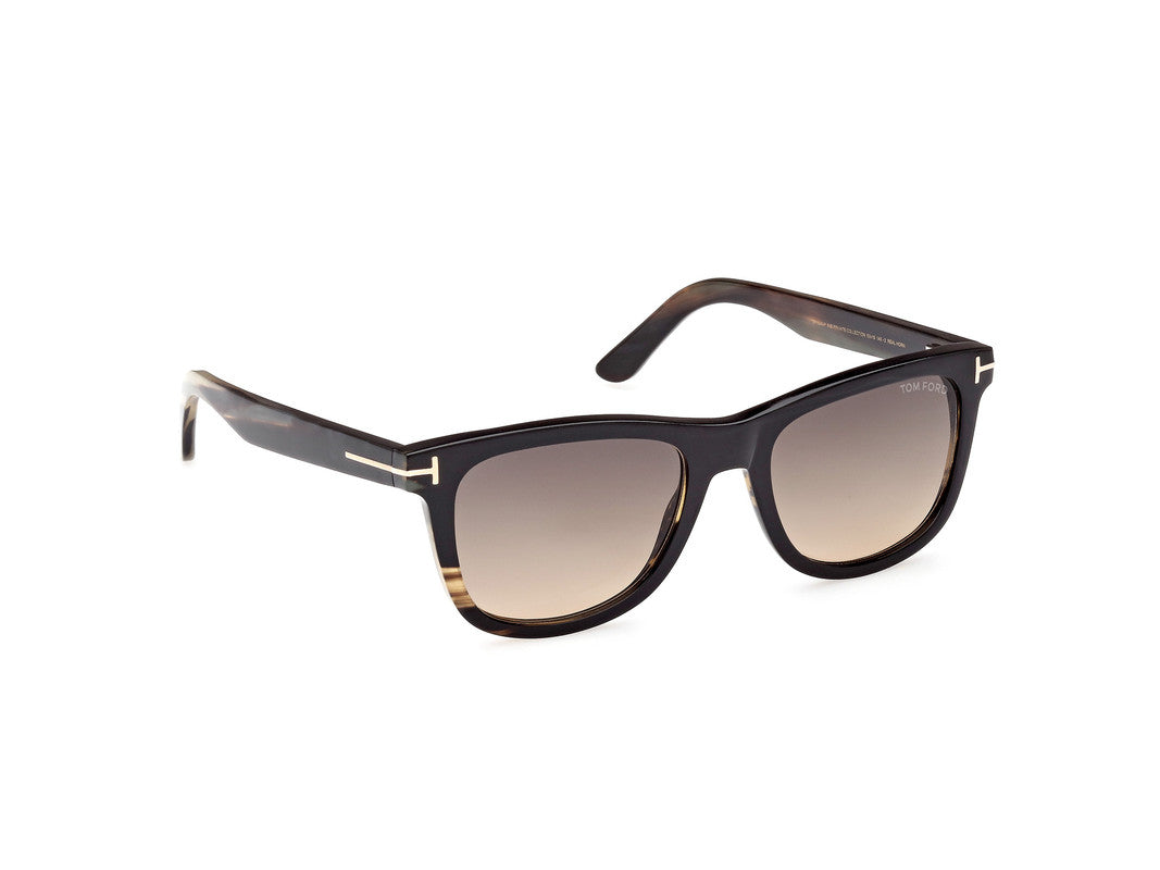 Coloured Horn Male Sunglasses Tom Ford Private Collection 889214417312