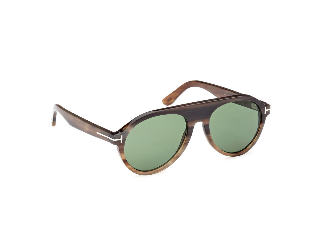 Horn/Gradient Male Sunglasses Tom Ford Private Collection 889214417329