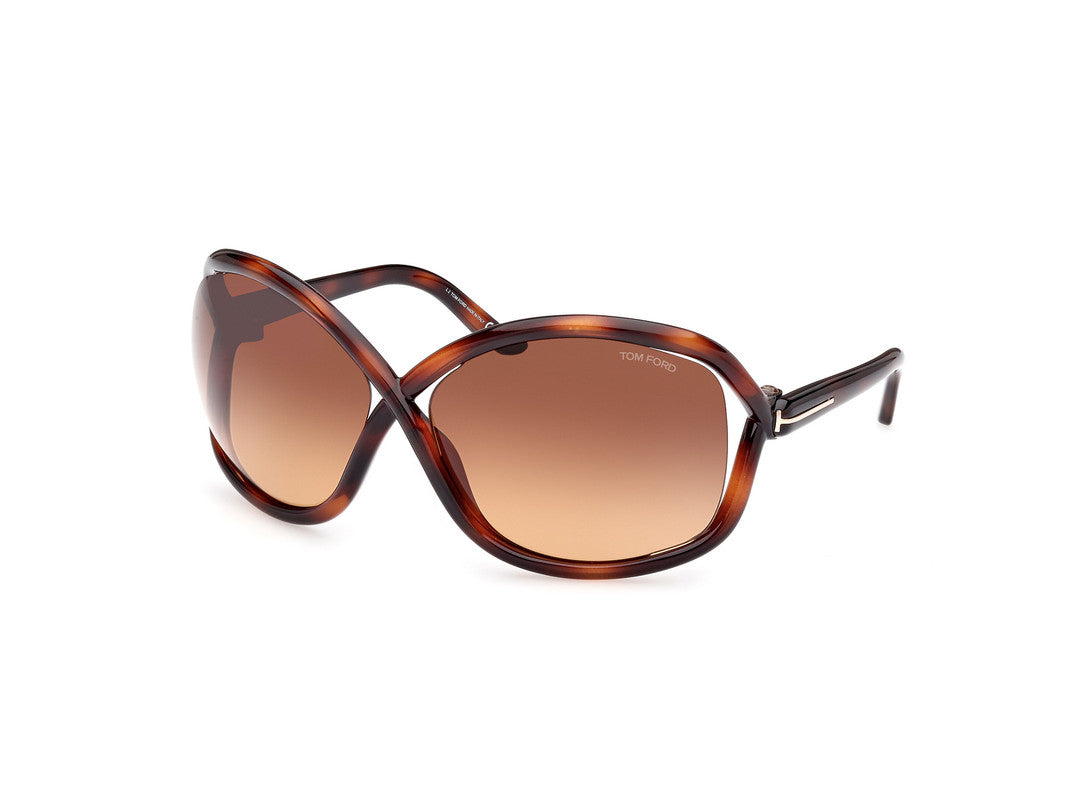 Dark Havana Female Sunglasses Tom Ford 889214457639