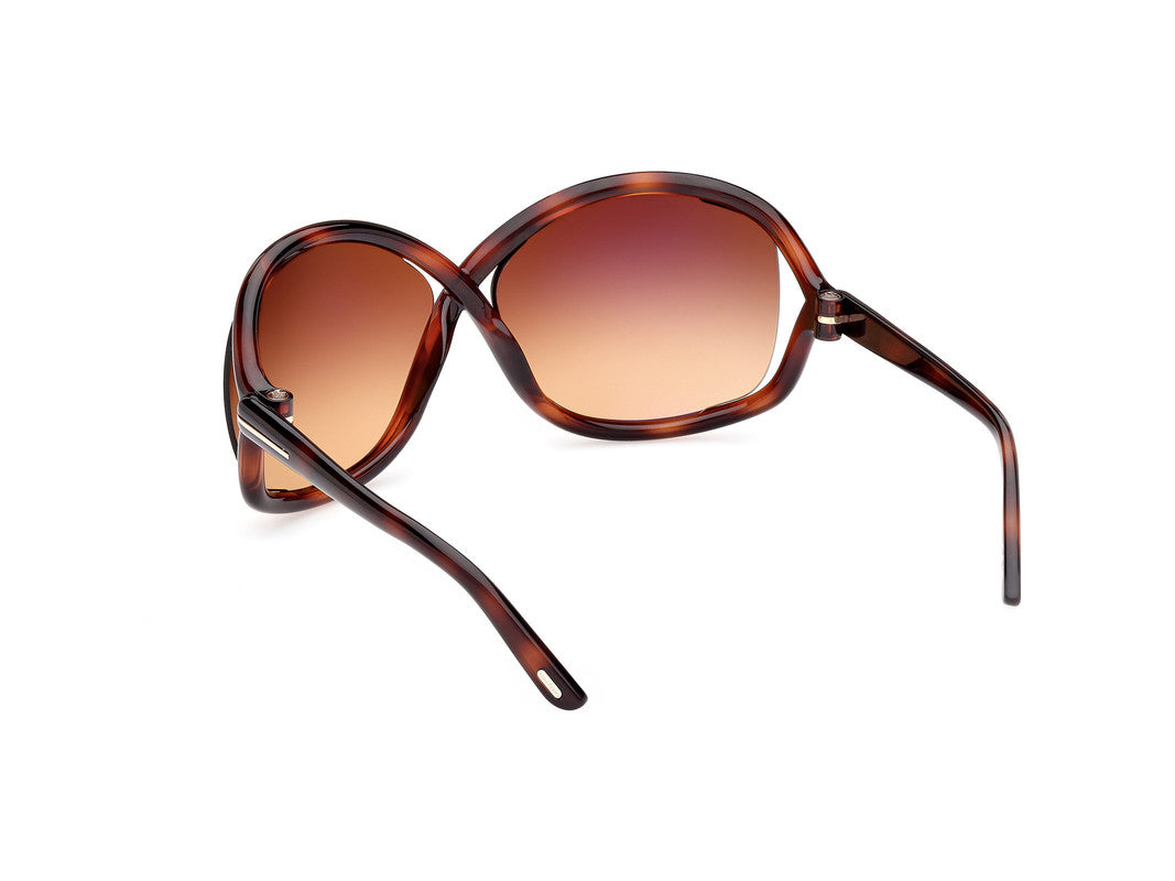 Dark Havana Female Sunglasses Tom Ford 889214457639