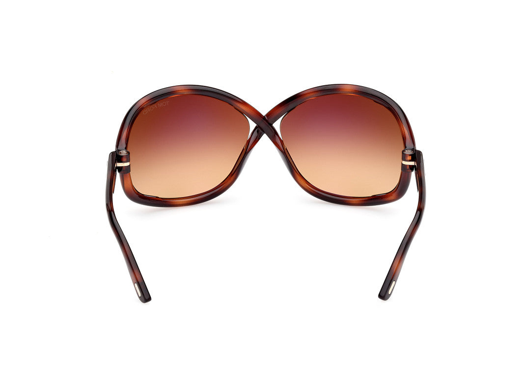 Dark Havana Female Sunglasses Tom Ford 889214457639