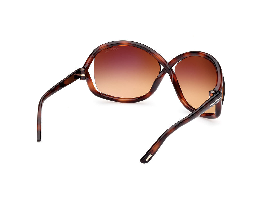Dark Havana Female Sunglasses Tom Ford 889214457639