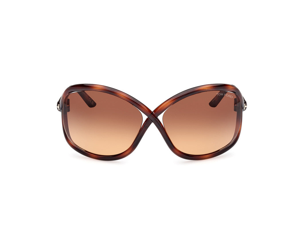 Dark Havana Female Sunglasses Tom Ford 889214457639